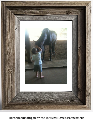 horseback riding near me in West Haven, Connecticut